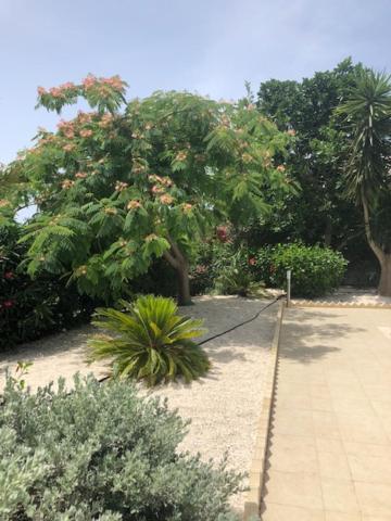 Villa Olivia, Coral Bay Bagian luar foto
